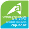 CHAMBRE D'AGRICULTURE ET DE LA PECHE DE NOUVELLE CALEDONIE CHAMBRE D'AGRICULTURE ET DE LA PECHE DE NOUVELLE CALEDONIE