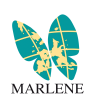 MARLENE
