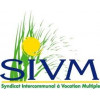 SVIM