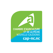 CHAMBRE D'AGRICULTURE ET DE LA PECHE DE NOUVELLE CALEDONIE CHAMBRE D'AGRICULTURE ET DE LA PECHE DE NOUVELLE CALEDONIE
