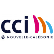 CCI - CHAMBRE DE COMMERCE ET D'INDUSTRIE