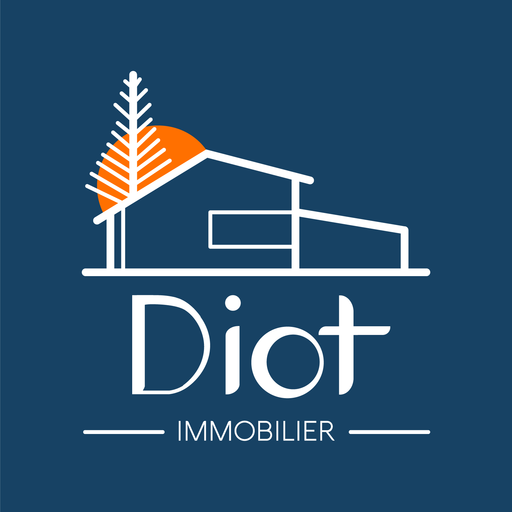 DIOT IMMOBILIER