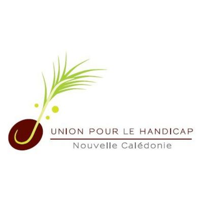GIP UNION POUR LE HANDICAP