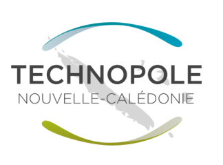 Directeur (trice)