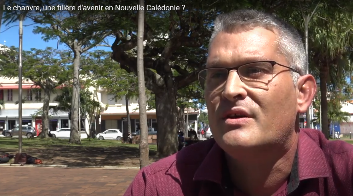 Le chanvre, une filière d'avenir en Nouvelle-Calédonie ?