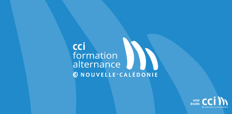 Pourquoi choisir l’alternance et rejoindre le CFA de la CCI-NC ?